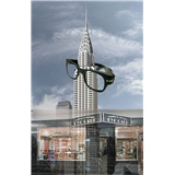 Madison Avenue Eyecare, LTD