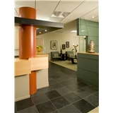 Wallach Derma Center