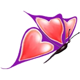 Gentle Touch Medical Group, PC