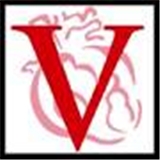 Vanguard Medical Group LLC