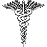 Lilia S Fiat, D.M.D, LLC