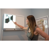 Family Chiropractic of Clark and NY