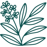 practice image