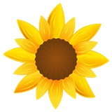 practice image