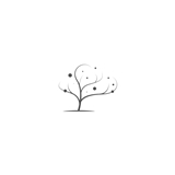 practice image