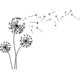 practice image